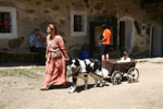 Mittelalterfest 2008 - www.mittelalterfeste.com - Photo von: Meldereiter & Waschweib